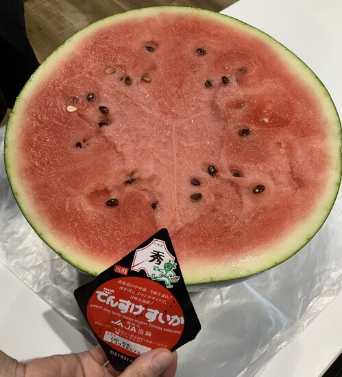 写真 23-07-2026 13 24 21.jpg